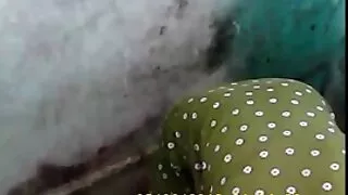 Um grande galo mal entrou na buceta. assistir vídeo pornô brasileirinhas