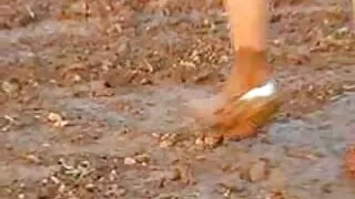 Lésbica humilha sua namorada, forçando-a a lamber vídeo das brasileirinhas de pornô sua buceta.