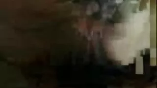 Foda-se no carro não paga a tarifa. filme pornô das brasileirinhas 2018