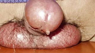 Adira Allure fode anal e está esperando que ela esguiche vídeo pornô das brasileirinhas 2019 com um orgasmo.