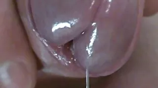 Rapariga do Brasil massageia a rata da vídeo pornô brasileirinha grátis namorada.