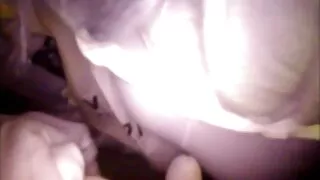 Eu coloquei vídeo pornô da brasileirinha theo